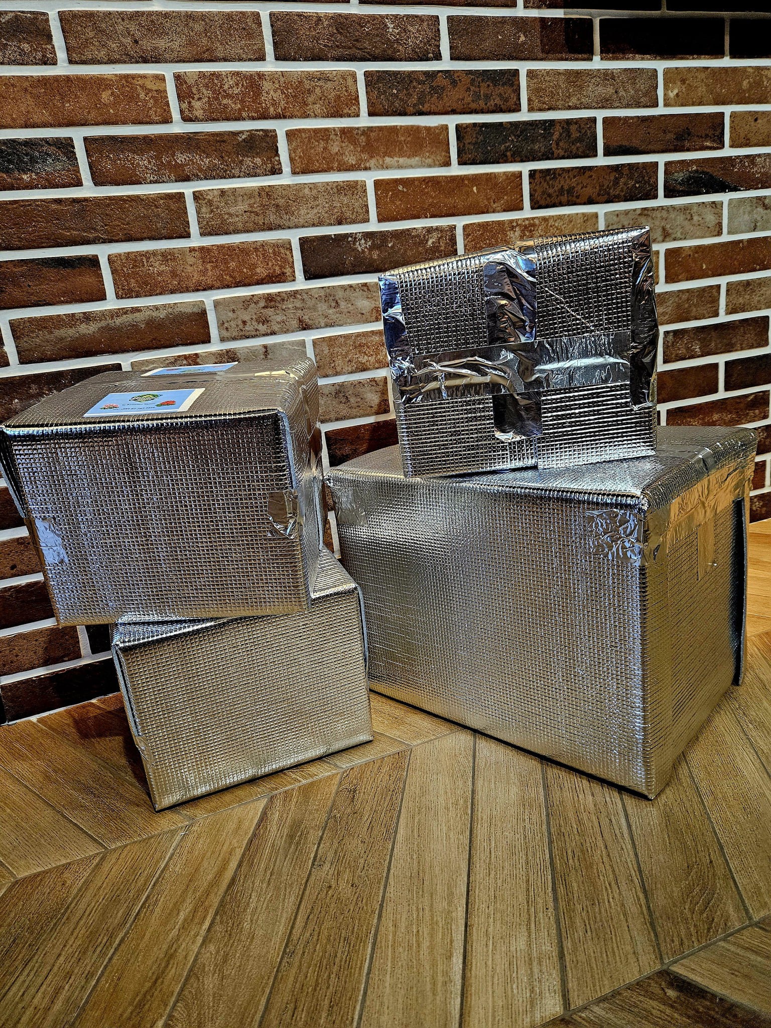 Pelargonium World Gallery